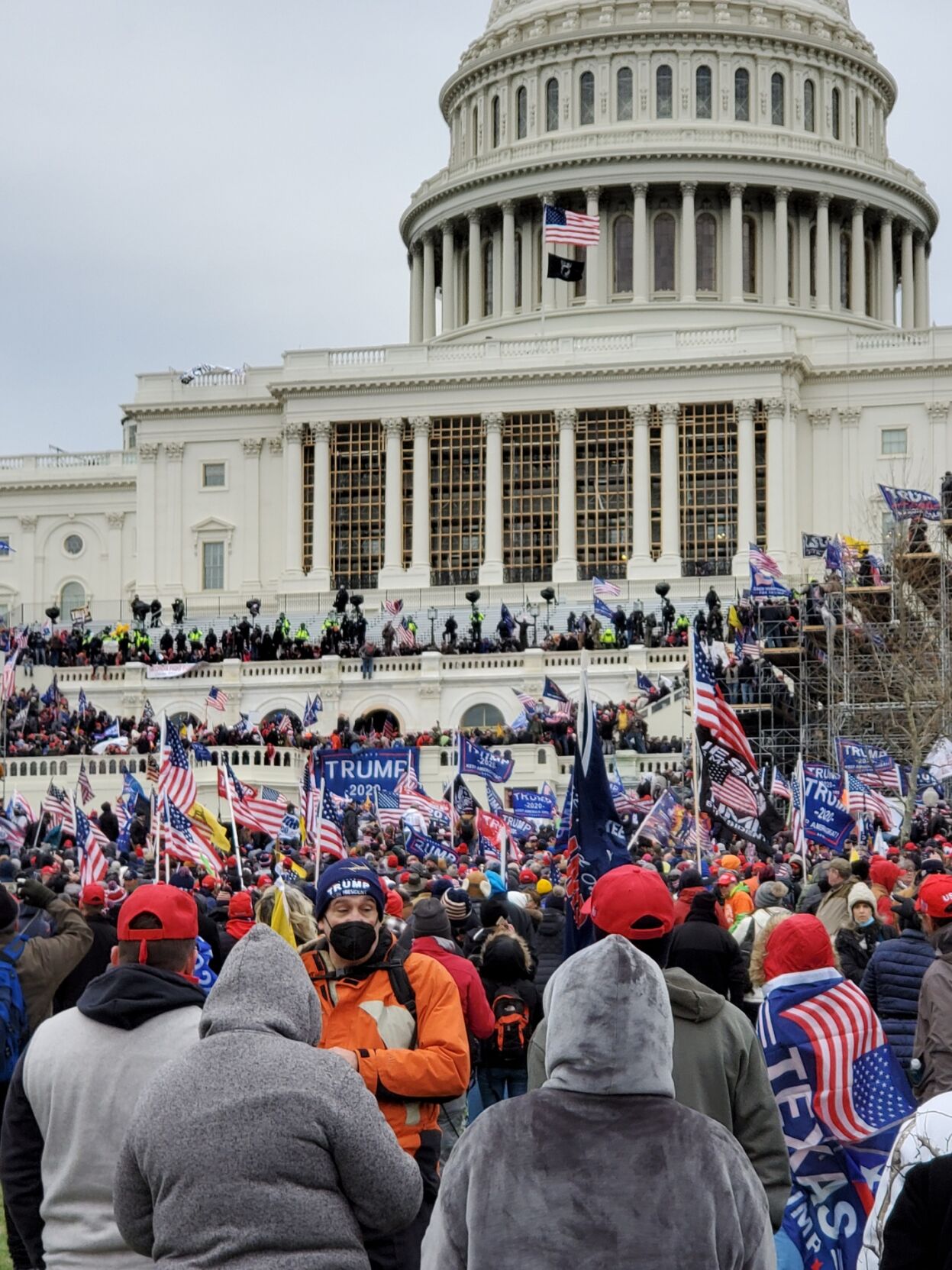 Trump Supporters in D.C.